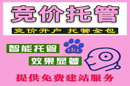 行业领先企业的SEM竞价专员工作实录